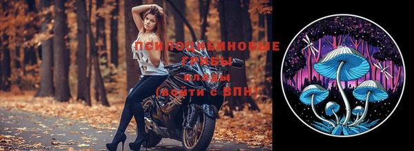 амфетамин Лабытнанги