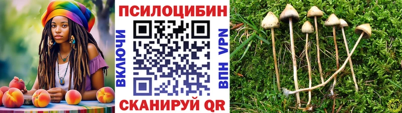 Галлюциногенные грибы GOLDEN TEACHER Гремячинск